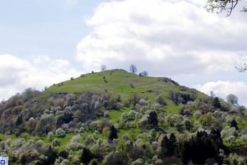 Die Limburg - Zeugenberg des schwäbischen Vulkanismus, einst Stammsitz der Zähringer, heute Naturschutzgebiet
