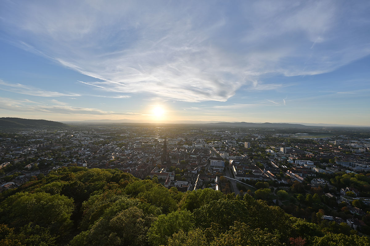 Stadtansicht Freiburg im Breisgau 